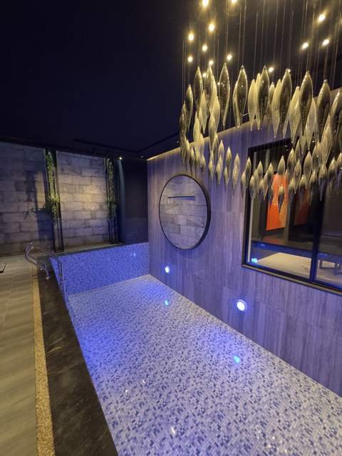 Indoor lap pool with sculptural pendant lighting