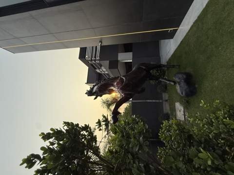 Landscaped courtyard with sculptural horse feature